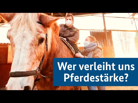 Ehrenamt: Wer verleiht uns Pferdestärke?