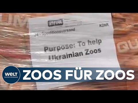 BERLINER ZOOS unterstützen UKRAINISCHE ZOOS dank riesiger Spendenbereitschaft | Die gute Nachricht